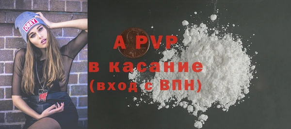 индика Кодинск
