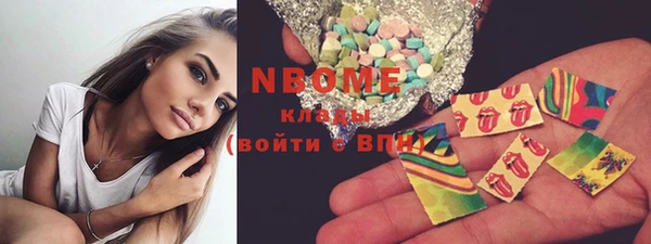гашик Козельск