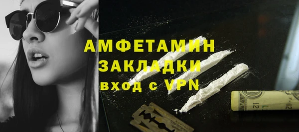 гашик Козельск
