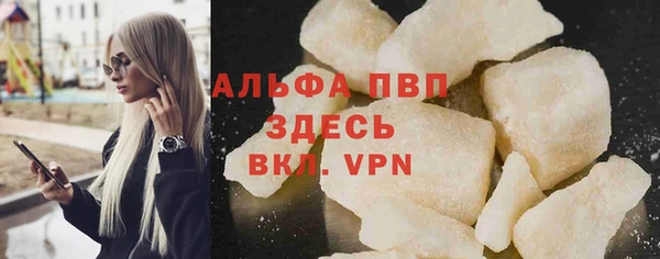 гашик Козельск