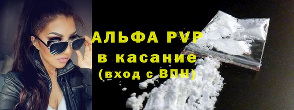 индика Кодинск