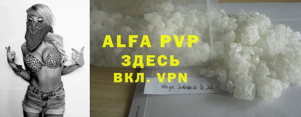 гашик Козельск