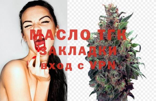 гашик Козельск
