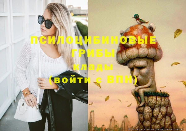 дмт Козловка