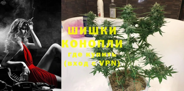 дмт Козловка