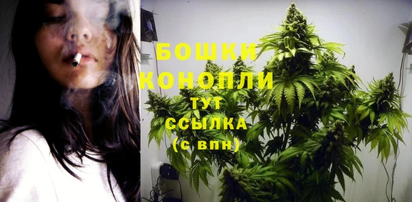 индика Кодинск