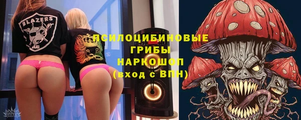 индика Кодинск