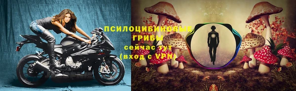 дмт Козловка
