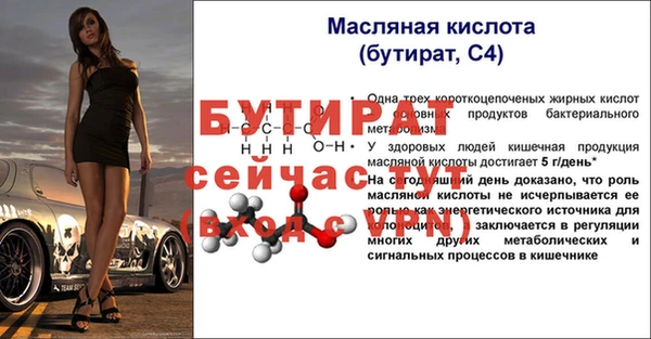 гашик Козельск