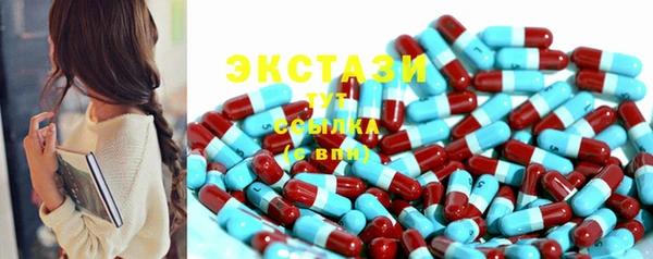 гашик Козельск