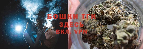 гашик Козельск
