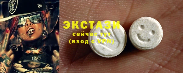 гашик Козельск