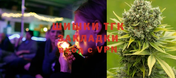 гашик Козельск