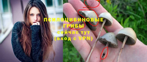 дмт Козловка