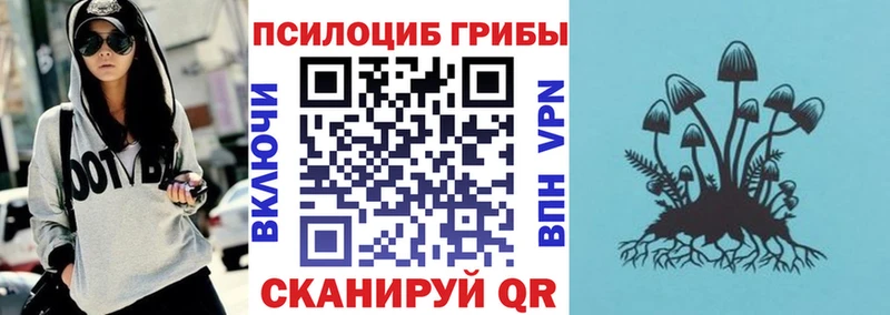 Купить где  Краснокамск  Галлюциногенные грибы мицелий 
